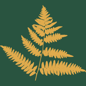 Equipoise